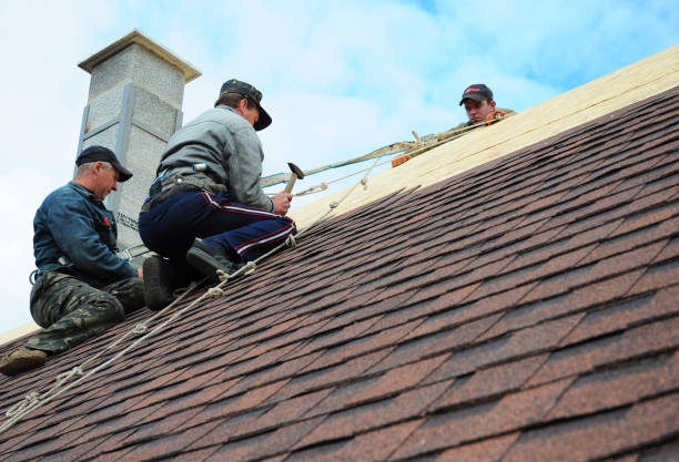 Best Metal Roofing Contractor  in Hudson, IL