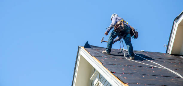 Best Roof Maintenance Services  in Hudson, IL